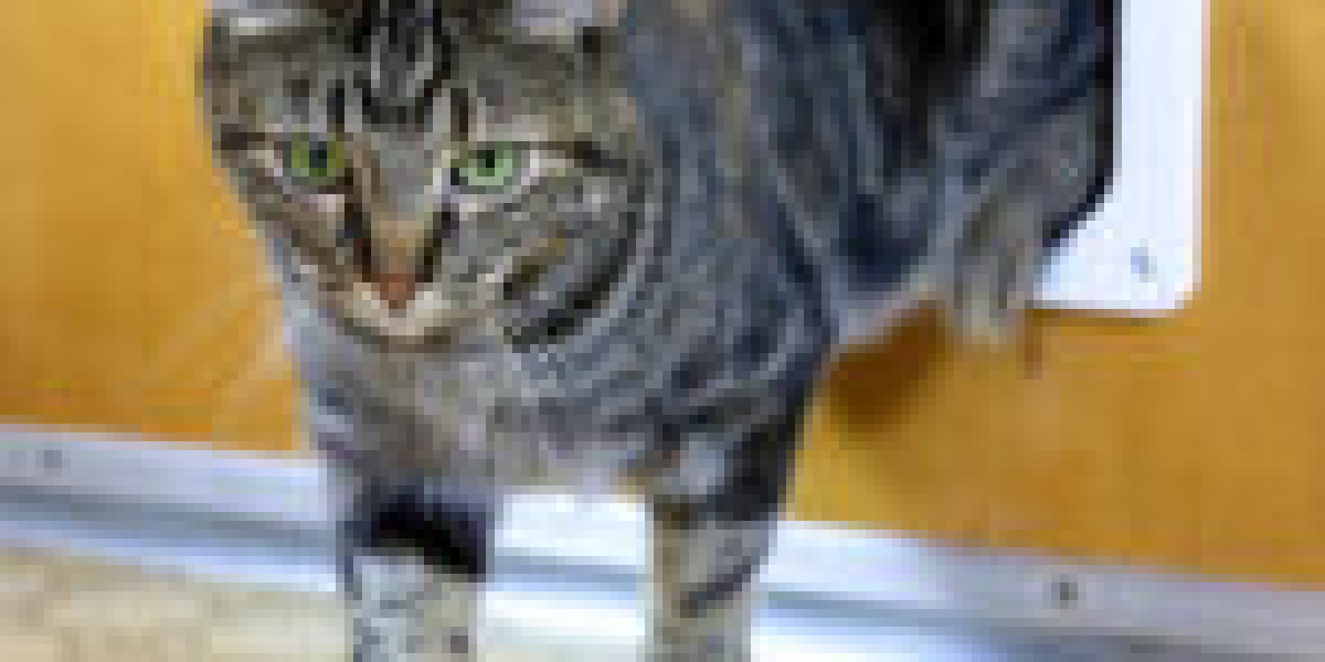 10 Simple Steps To Start The Business Of Your Dream Cat Door Contractor Business