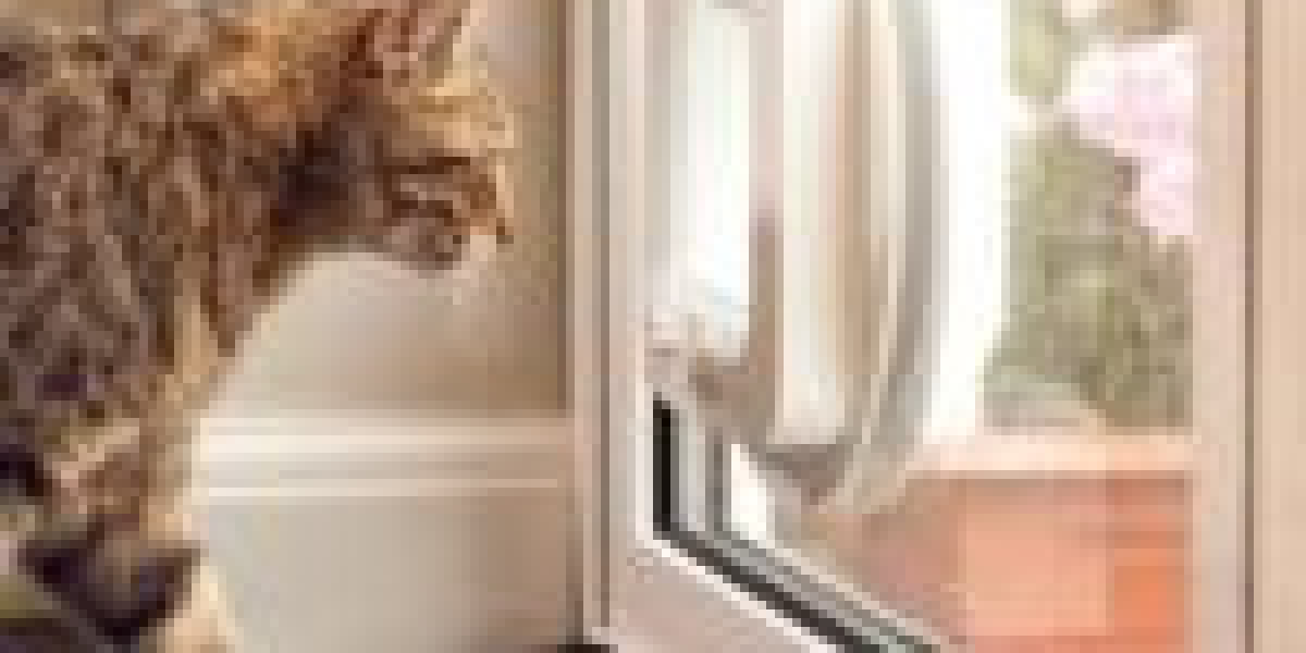 What's The Job Market For Cat Flap Installation Process Professionals?